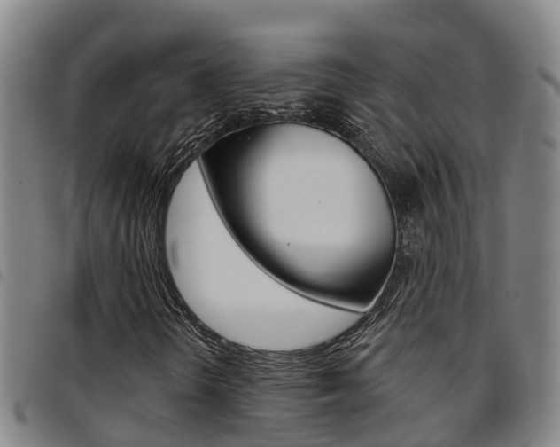 X0000097871298200803140909