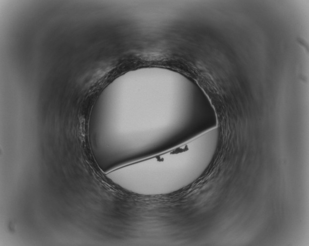 X0000097871301200803140909