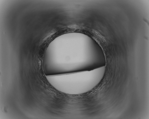 X0000097871302200803140909