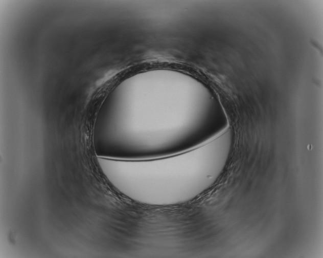 X0000097871303200803140909