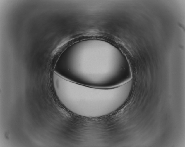 X0000097871304200803140909