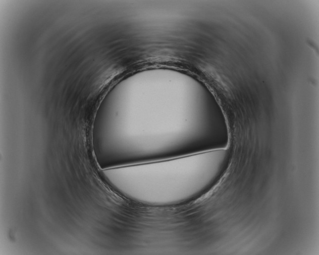 X0000097871305200803140909