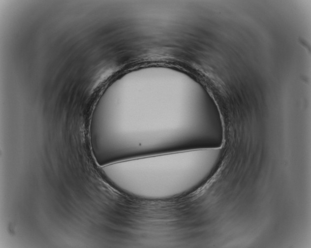 X0000097871306200803140909