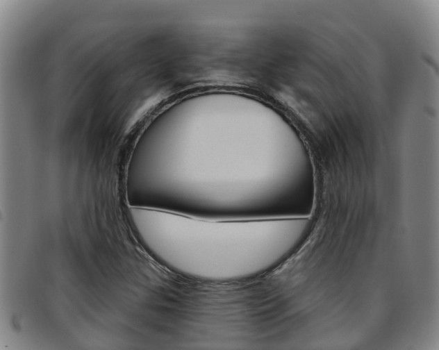 X0000097871307200803140909