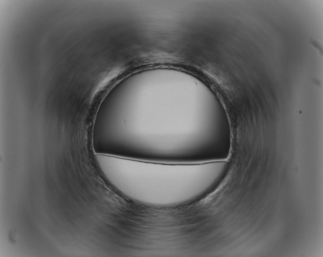 X0000097871309200803140909