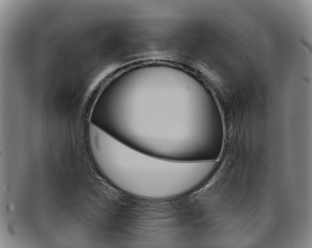 X0000097871310200803140909