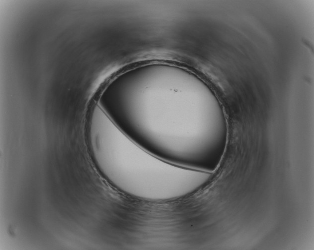 X0000097871312200803140909
