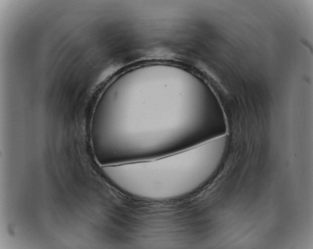 X0000097871315200803140909
