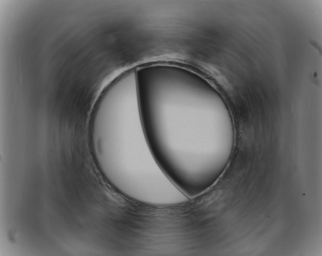 X0000097871316200803140909