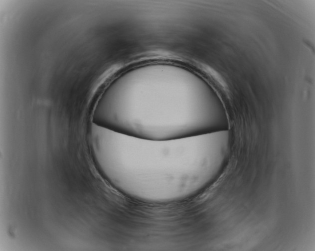 X0000097871318200803140909