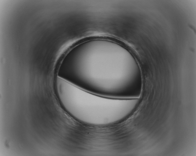 X0000097871319200803140909