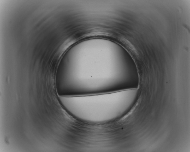X0000097871321200803140909