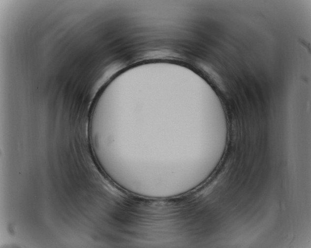 X0000097871322200803140909