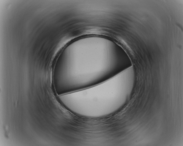 X0000097871323200803140909