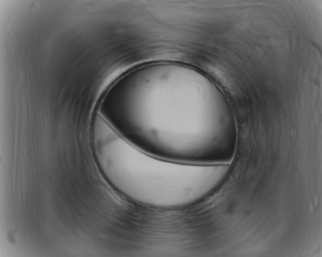 X0000097871324200803140909