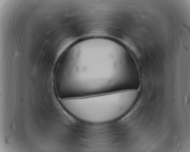 X0000097871325200803140909