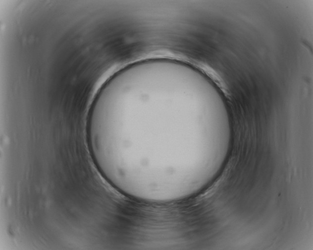 X0000097871326200803140909