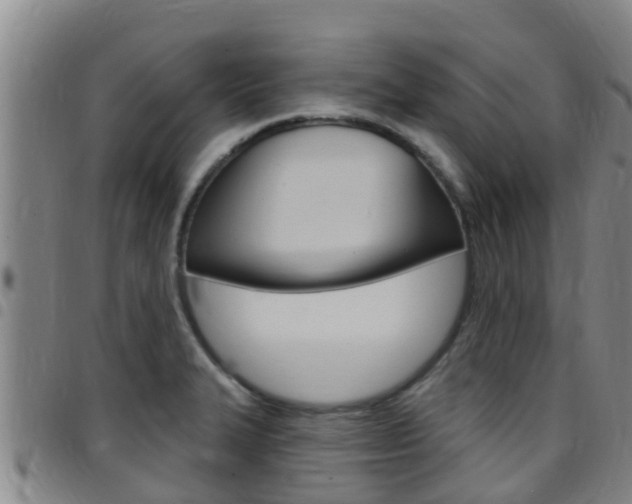 X0000097871327200803140909