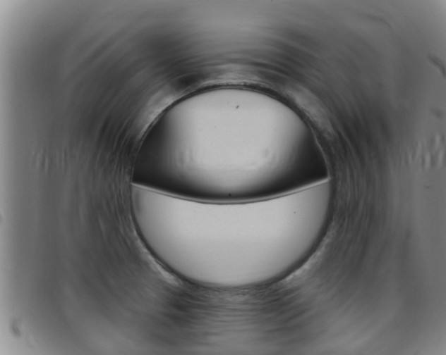 X0000097871329200803140909