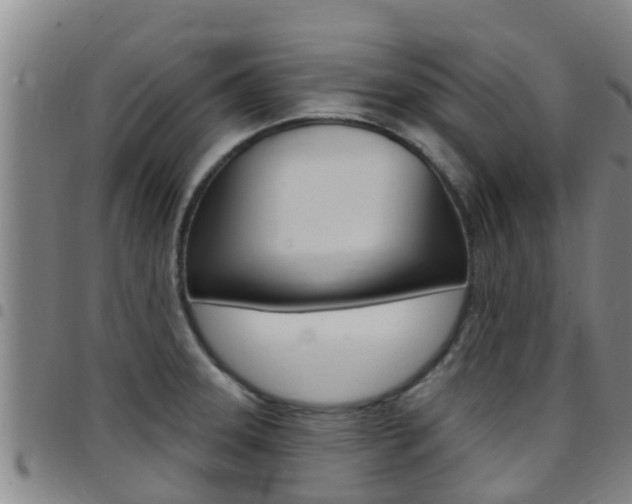 X0000097871331200803140909