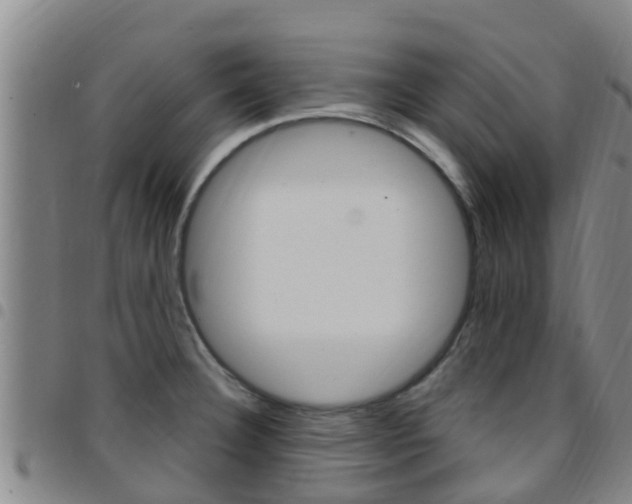 X0000097871332200803140909