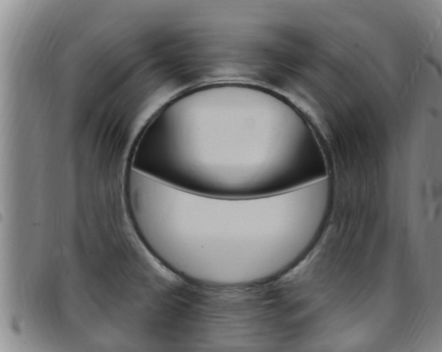 X0000097871333200803140909