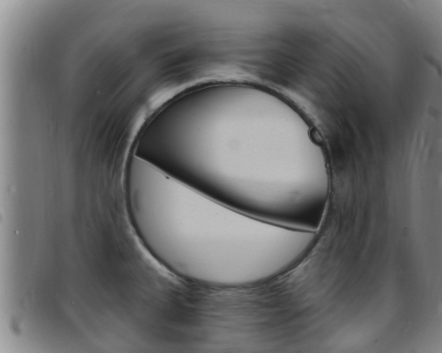 X0000097871335200803140909