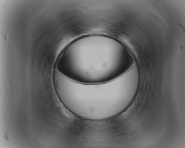 X0000097871336200803140910