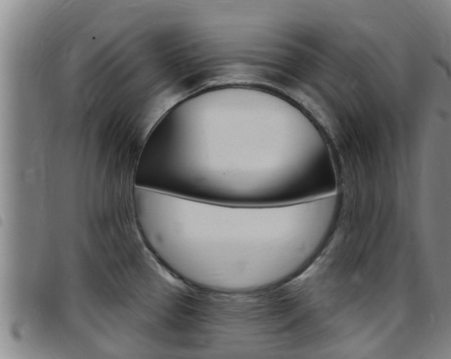 X0000097871337200803140910