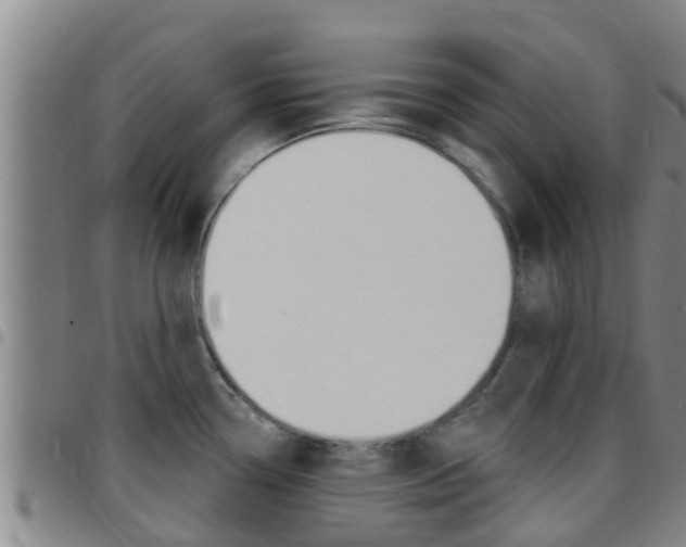 X0000097871338200803140910