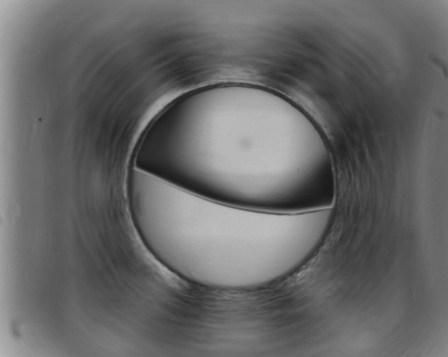 X0000097871339200803140910