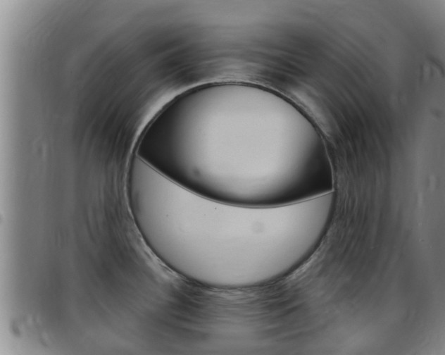 X0000097871340200803140910