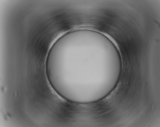X0000097871341200803140910