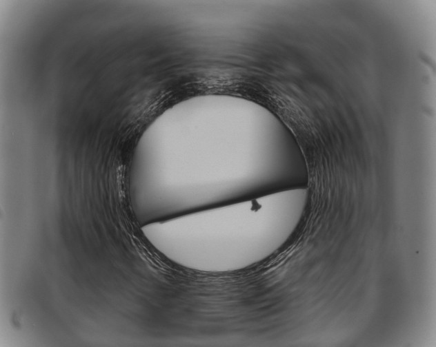 X0000097871346200803140909