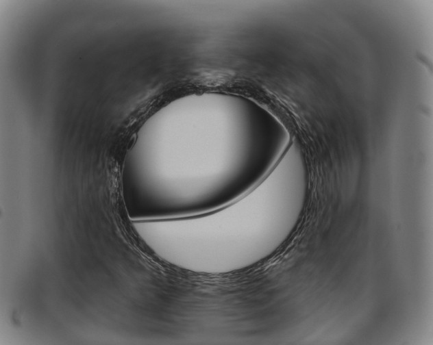 X0000097871349200803140909