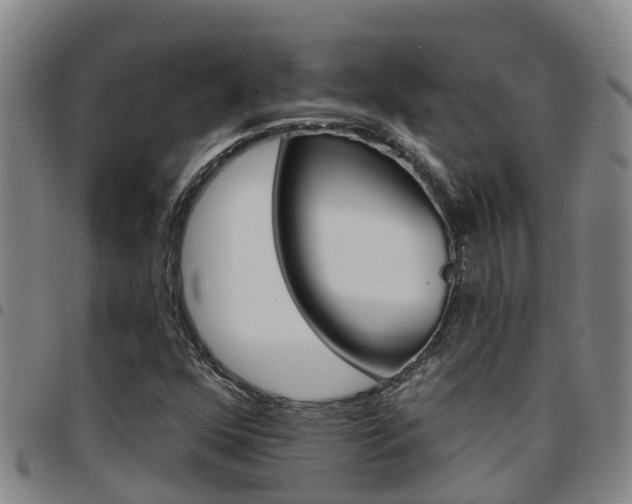 X0000097871352200803140909