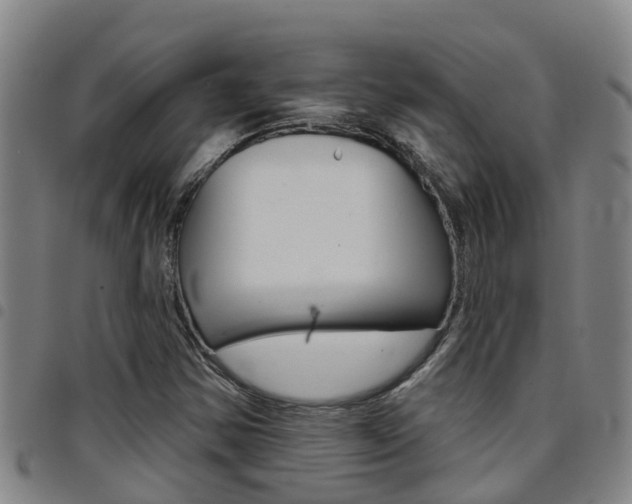 X0000097871354200803140909