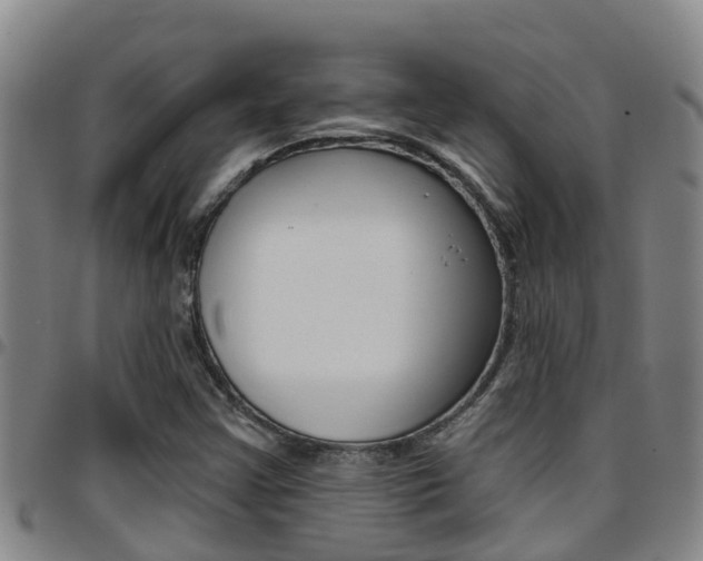 X0000097871355200803140909