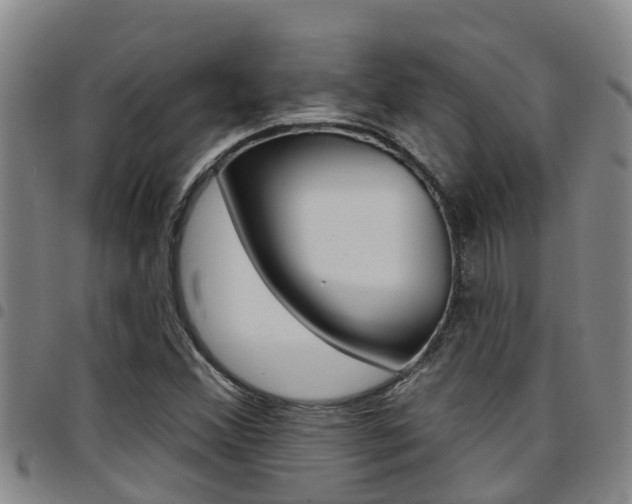 X0000097871356200803140909