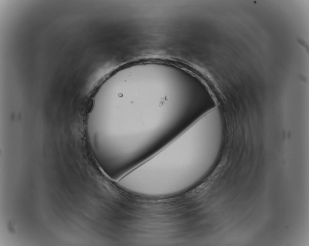 X0000097871359200803140909