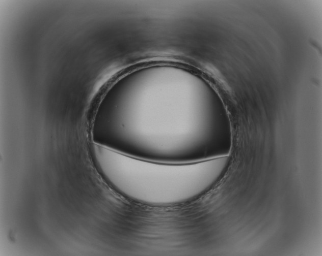 X0000097871360200803140909