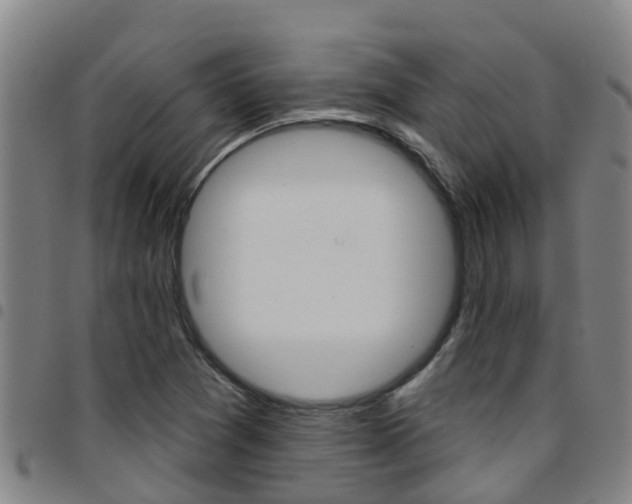 X0000097871361200803140909