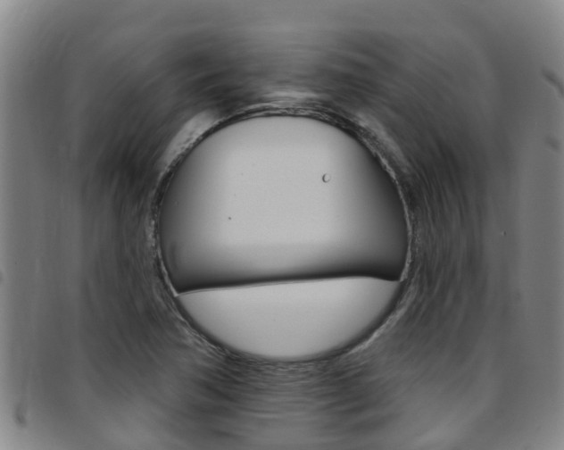X0000097871362200803140909