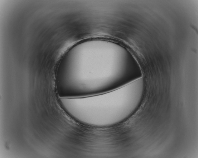 X0000097871363200803140909