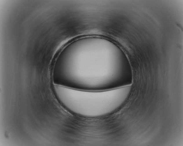 X0000097871364200803140909