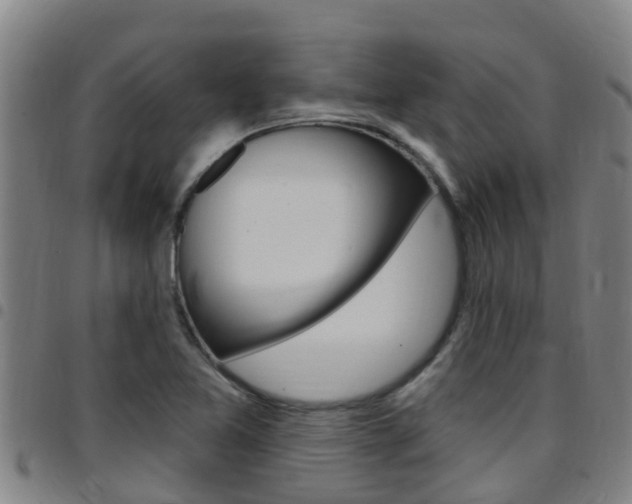 X0000097871365200803140909