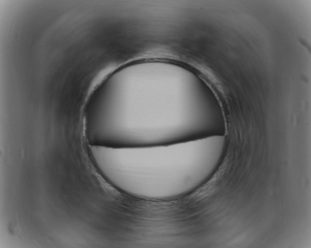 X0000097871366200803140909