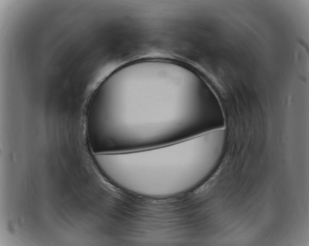 X0000097871367200803140909
