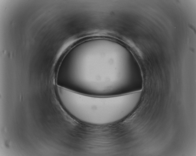 X0000097871368200803140909