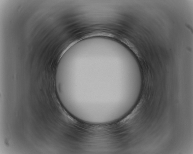 X0000097871369200803140909